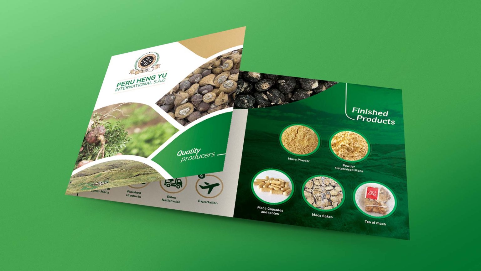 diseño de brochure empresarial - peru heng yu