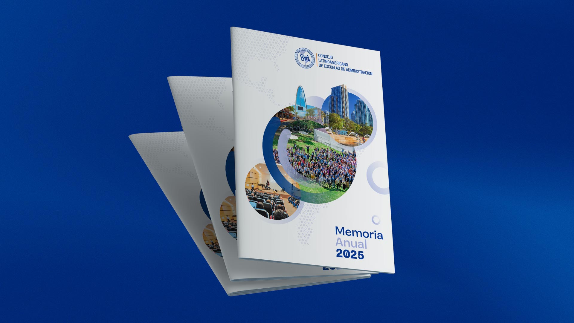 Portfolio Thumbnail Image